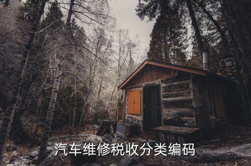 稅收分類編碼如何查詢，汽車維修稅收分類編碼