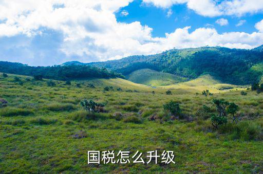 國稅系統(tǒng)如何適應新時代，如何做好新形勢下的國稅工作
