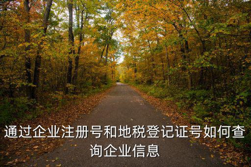 山東 如何查企業(yè)稅務(wù)信息，通過(guò)企業(yè)注冊(cè)號(hào)和地稅登記證號(hào)如何查詢企業(yè)信息