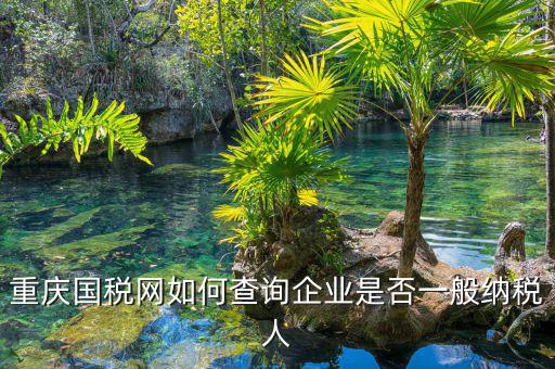 如何在國稅網查是否一般納稅人，怎么在網上查一個單位是不是一般納稅人