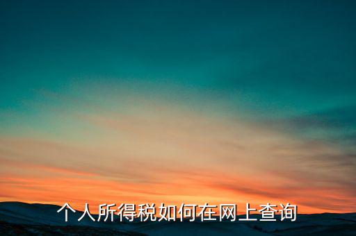 天津如何查個人所得稅，個人所得稅如何在網(wǎng)上查詢