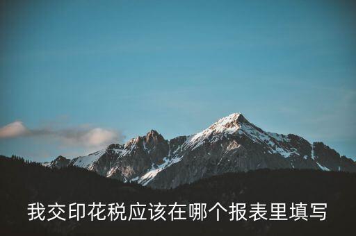 網(wǎng)上印花稅表如何填寫，印花稅申報報表要怎么填啊