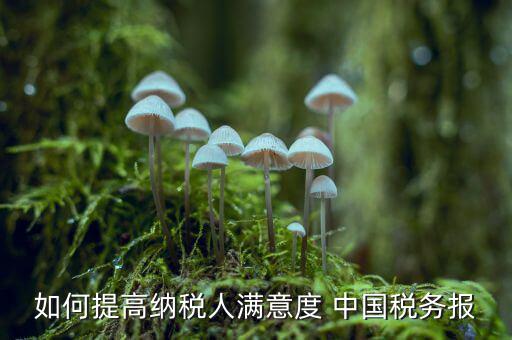 地稅如何提升納稅人滿意度，如何提高納稅人滿意度 中國稅務(wù)報