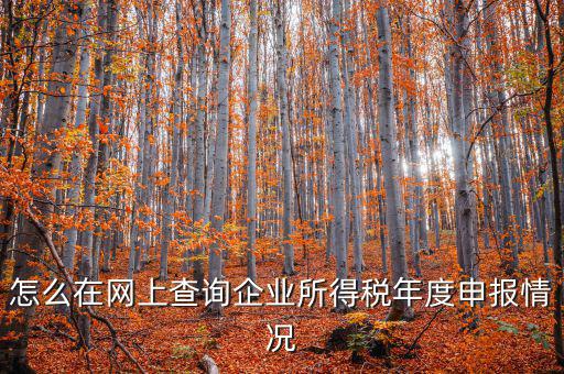 企業(yè)稅務信息如何查詢系統(tǒng)，通過企業(yè)注冊號和地稅登記證號如何查詢企業(yè)信息