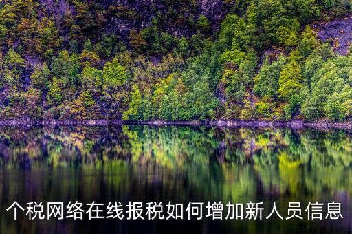 個稅網(wǎng)絡(luò)在線報(bào)稅如何增加新人員信息