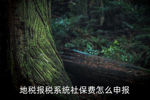 地稅如何申報社保嗎，地稅報稅時社保怎么填