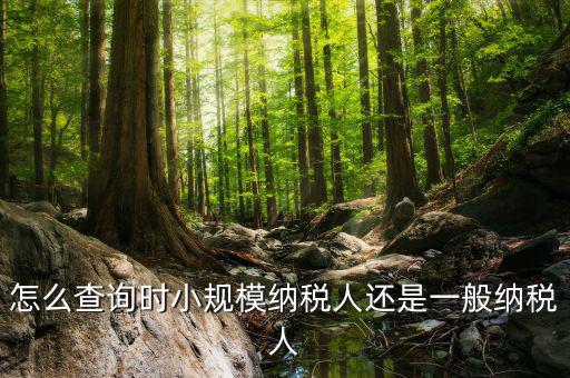 如何查詢成為納稅人時間，怎么查詢時小規(guī)模納稅人還是一般納稅人