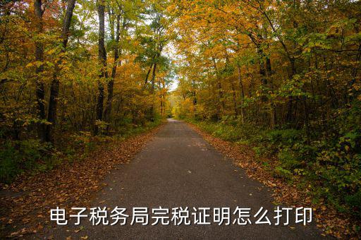 福建省網(wǎng)上稅務(wù)局如何打印，電子稅務(wù)局完稅證明怎么打印