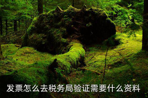 如何檢驗發(fā)票，發(fā)票怎么去稅務局驗證需要什么資料