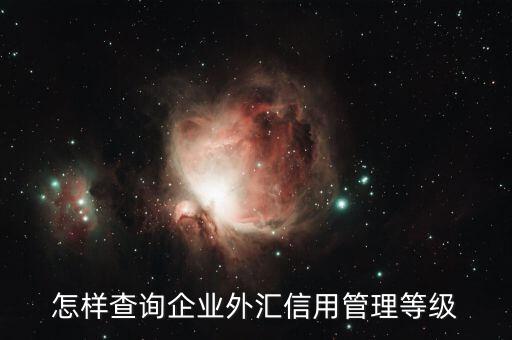 如何查詢企業(yè)信用等級(jí)，怎樣查詢企業(yè)外匯信用管理等級(jí)