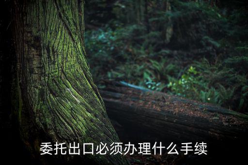 如何開具代理出口貨物證明，代理公司在當?shù)亻_具代理出口貨物證明 請問我公司如何