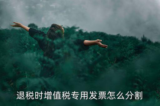 申報(bào)退稅如何分批，同一個(gè)退稅申報(bào)期內(nèi)可以申報(bào)2個(gè)批次嗎