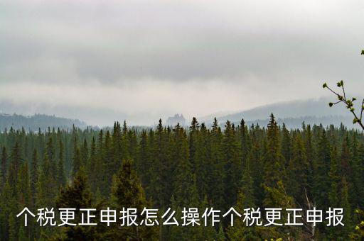 福建個人所得稅如何申報更正，個稅申報錯了如何更正