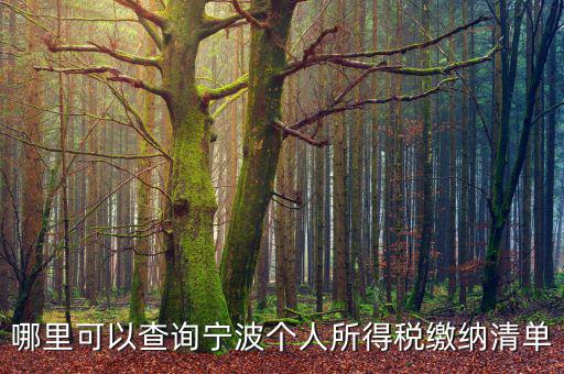 寧波個(gè)人納稅如何查詢，哪里可以查詢寧波個(gè)人所得稅繳納清單