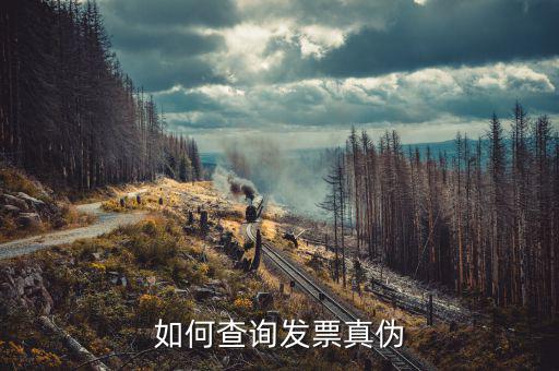 如何查北京的發(fā)票真?zhèn)?，北京電子發(fā)票真?zhèn)尾樵?/></a></span><span id=
