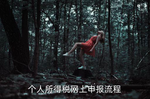個人所得稅網(wǎng)上申報(bào)流程