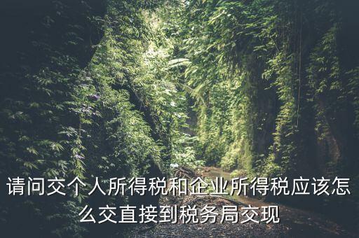 請(qǐng)問交個(gè)人所得稅和企業(yè)所得稅應(yīng)該怎么交直接到稅務(wù)局交現(xiàn)