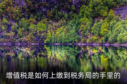 如何在稅務大廳納稅繳納稅款，在稅務大廳怎么繳納已申報稅款