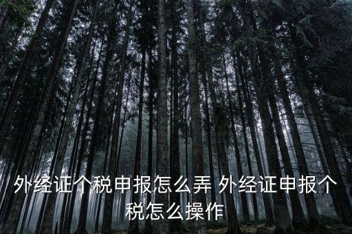 外經證個稅申報怎么弄 外經證申報個稅怎么操作