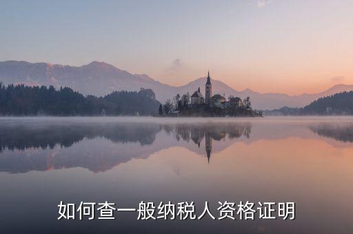 如何查一般納稅人資格，如何查一般納稅人資格證明