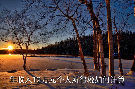 如何計算12萬申報，年收入12萬元個人所得稅如何計算