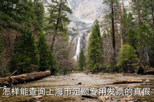 如何查詢上海市發(fā)票真?zhèn)尾樵?，上海發(fā)票真?zhèn)尾樵?/></a></span><span id=