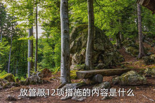 在放管服中如何加強(qiáng)審計(jì)稽察，放管服12項(xiàng)措施的內(nèi)容是什么