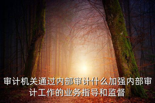 如何進一步加強督察內(nèi)審工作，如何加強紀檢監(jiān)察系統(tǒng)內(nèi)部監(jiān)督管理