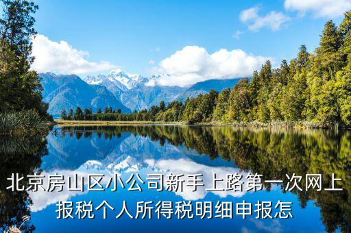 北京網(wǎng)上申報后如何繳稅，地稅國稅的網(wǎng)上繳稅怎么繳