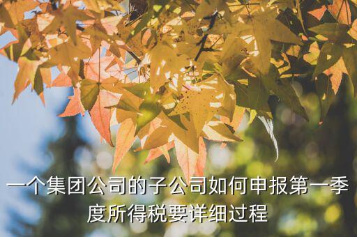 一個集團(tuán)公司的子公司如何申報(bào)第一季度所得稅要詳細(xì)過程