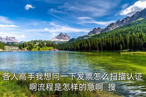 如何掃描認(rèn)證發(fā)票，各人高手我想問一下發(fā)票怎么掃描認(rèn)證啊流程是怎樣的急啊  搜