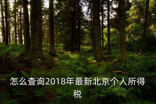 北京如何查詢個(gè)稅完稅證明，怎么查詢2018年最新北京個(gè)人所得稅