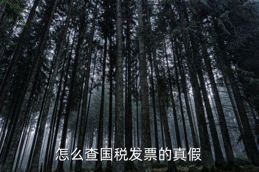 國稅如何驗證發(fā)票，增值稅發(fā)票網(wǎng)上怎么認證
