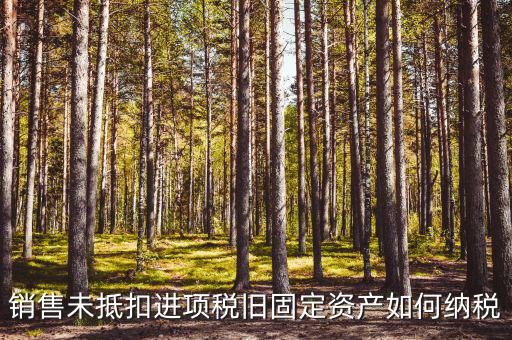 銷售未抵扣進(jìn)項稅舊固定資產(chǎn)如何納稅