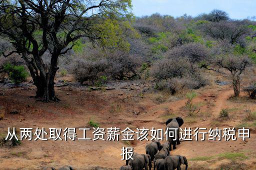 多出取得工資 如何申報(bào)個(gè)稅，個(gè)人多處取得所得如何申報(bào)繳納個(gè)稅