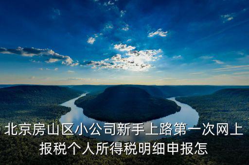 北京市網(wǎng)上稅務(wù)局如何報稅，北京稅務(wù)局網(wǎng)上報到怎么操作