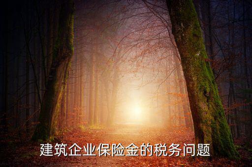 保險(xiǎn)公司稅務(wù)管理如何處理，建筑企業(yè)保險(xiǎn)金的稅務(wù)問題