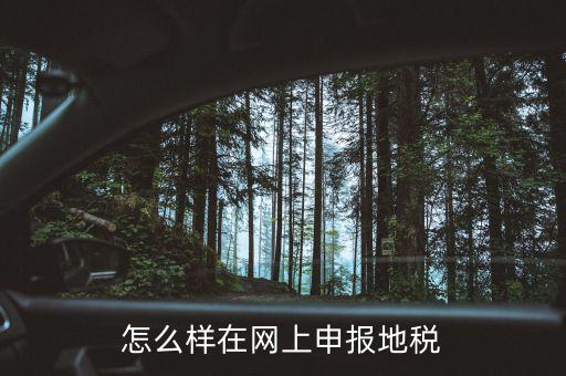 地稅網(wǎng)站如何注冊，地稅網(wǎng)上申報(bào)注冊怎么操作