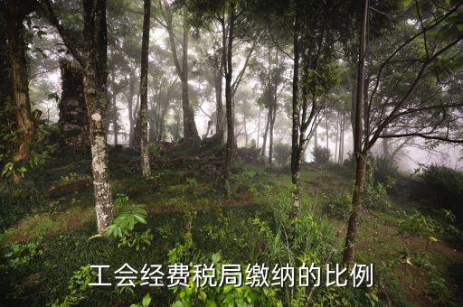 稅局代收的工會經(jīng)費應如何交納，稅務局代收的工會經(jīng)費怎么交