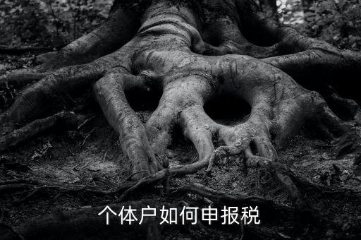 個體工商戶稅如何申報，個體工商戶個稅怎么報