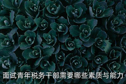 稅務(wù)年輕干部如何培養(yǎng)，面試青年稅務(wù)干部需要哪些素質(zhì)與能力