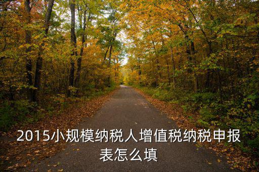 小規(guī)模納稅人國稅申報表如何填，小規(guī)模納稅人的報表怎么填