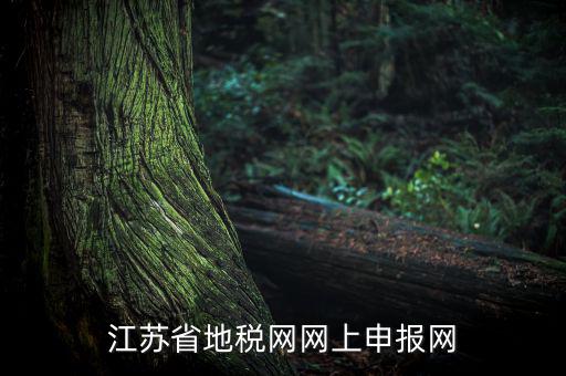 江蘇如何網(wǎng)上報稅，現(xiàn)在江蘇能不能進行網(wǎng)上抄報稅