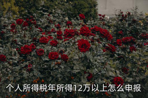 陜西地稅 12萬(wàn)以上如何申報(bào)，個(gè)人所得稅年所得12萬(wàn)以上怎么申報(bào)