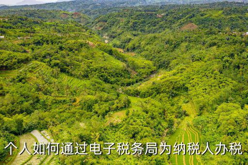 個(gè)人如何通過(guò)電子稅務(wù)局為納稅人辦稅