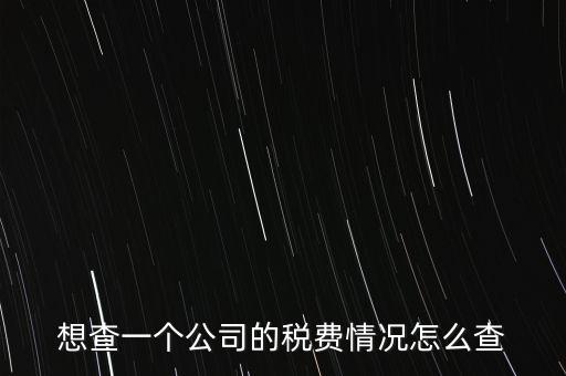 如何查詢公司納稅記錄查詢，想查一個公司的稅費情況怎么查