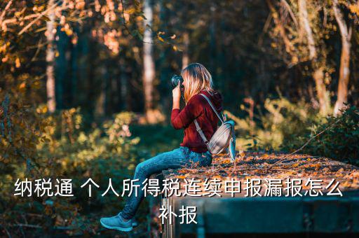源泉扣繳如何補申報，個人所得稅代扣代繳系統(tǒng) 補申報怎樣操作