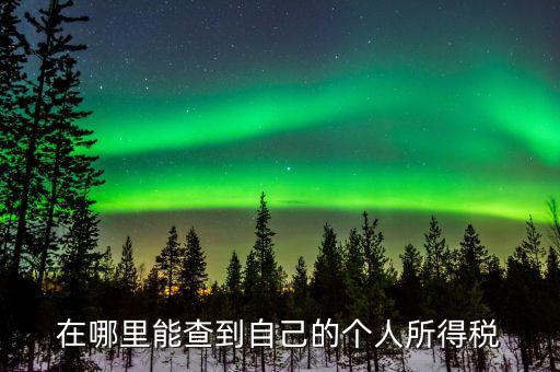 稅務如何查個稅，個稅怎么查