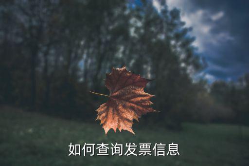 開票系統(tǒng)如何查詢票種，如何從金稅盤中看出公司票種
