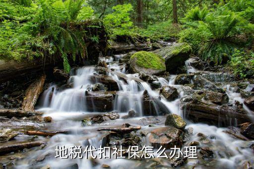 地稅如何代扣社保嗎，地稅代扣代繳社保
